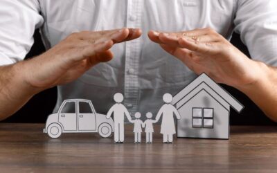 Safeguarding Your Wealth for Future Generations: A Guide for Entrepreneur and Business-minded Individuals